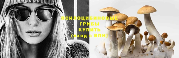 амф Абинск