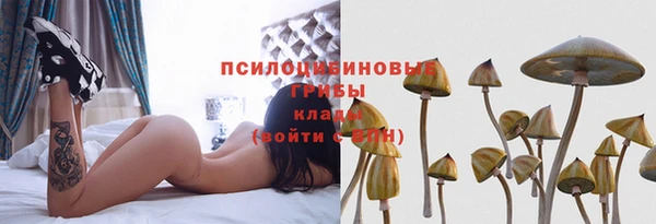 прущие крисы Абаза
