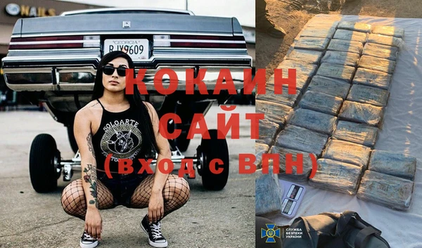 прущие крисы Абаза