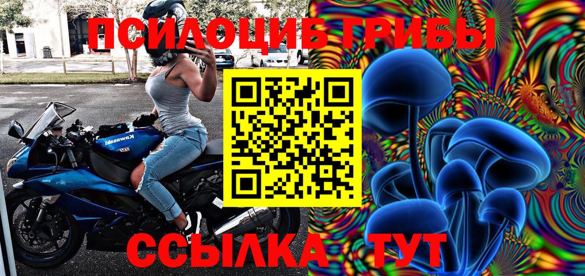 купить наркоту  Псилоцибиновые грибы Psilocybe  Вход с VPN  Россошь 