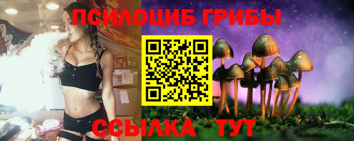 Россошь  Псилоцибиновые грибы GOLDEN TEACHER  Вход с VPN  Галлюциногенные грибы Psilocybe 