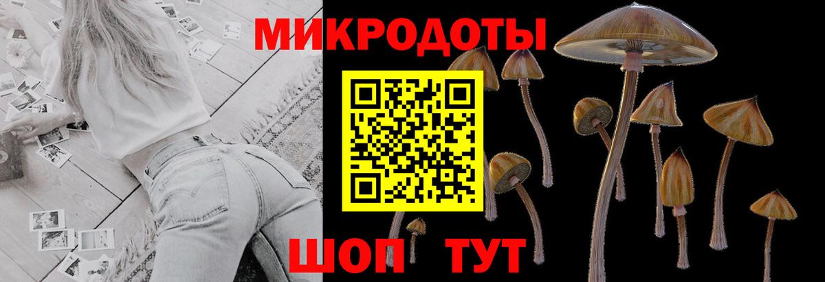 Псилоцибиновые грибы Psilocybine cubensis Россошь