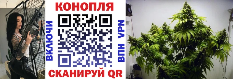 Канабис VHQ  дарнет шоп  Россошь 